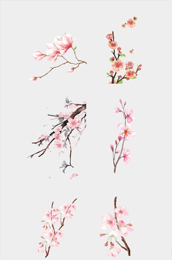 桃花