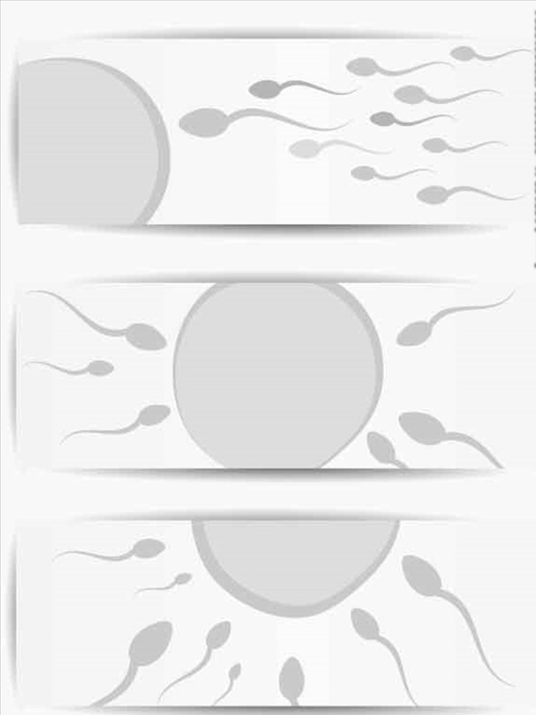 生物学蝌蚪卵子剪影图