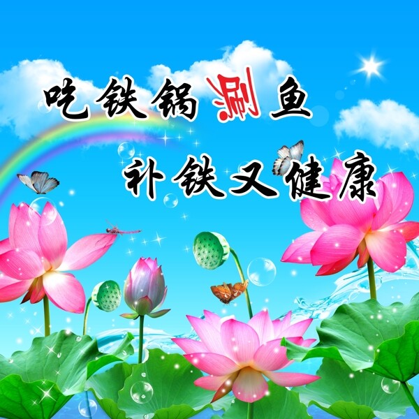 荷花荷葉圖片