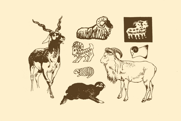 動物圖案羊圖片