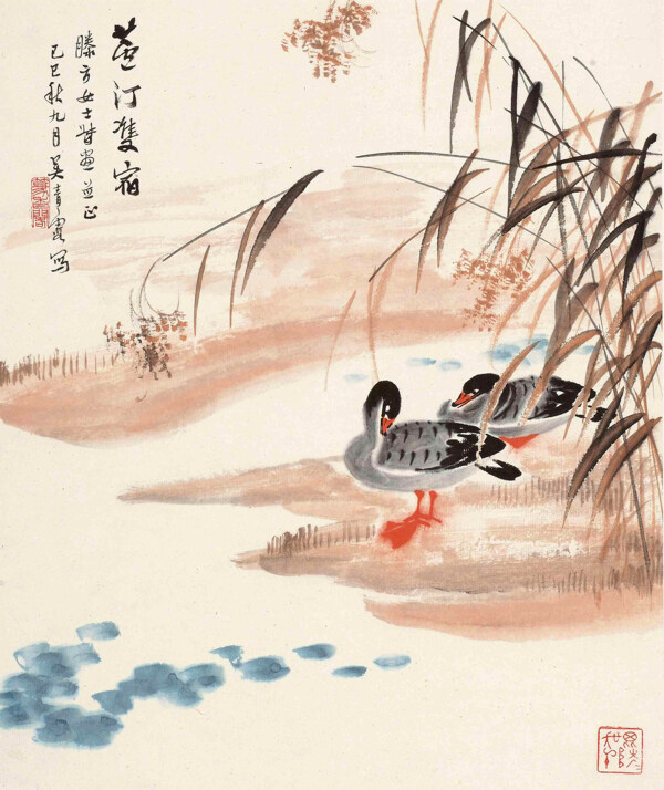 蘆汀雙宿圖片