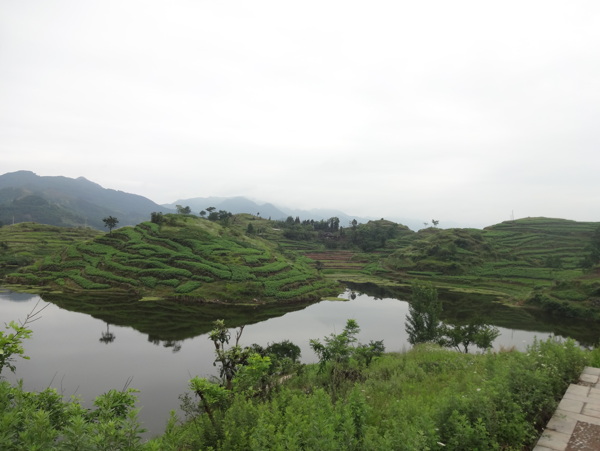 風(fēng)景照片圖片