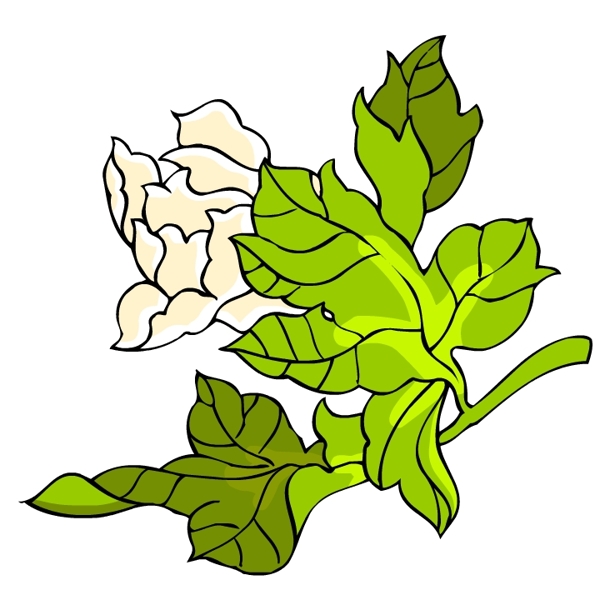 花卉古典插畫