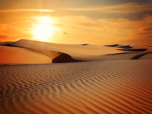 唯美沙漠夕阳风景图片
