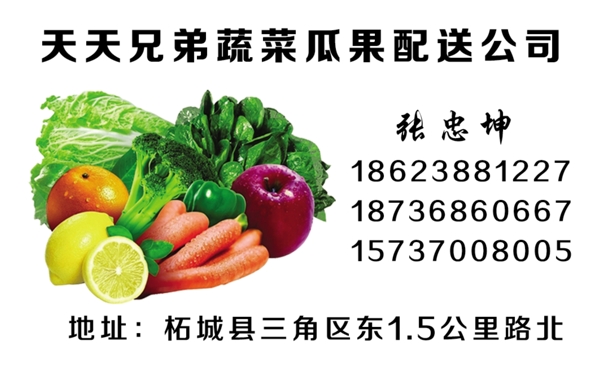 名片蔬菜新鮮蔬菜