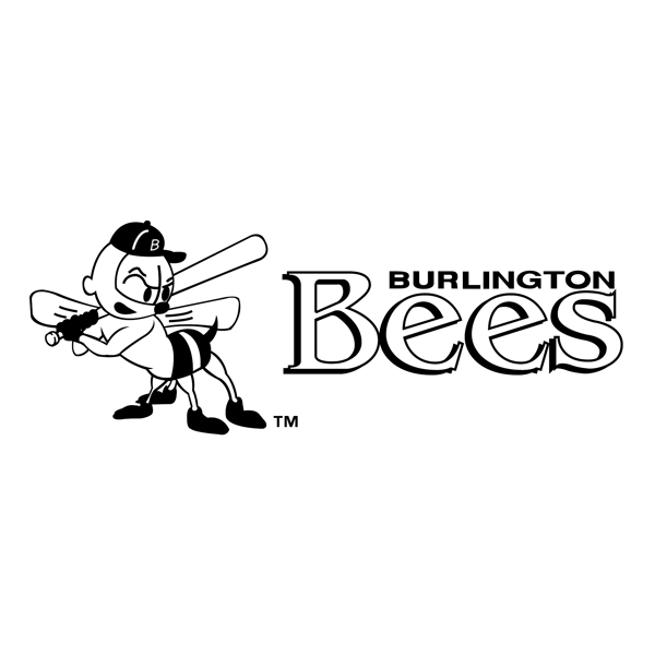 布灵顿蜜蜂0