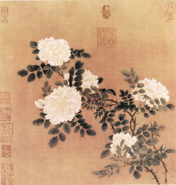 花卉叶子装饰画图片