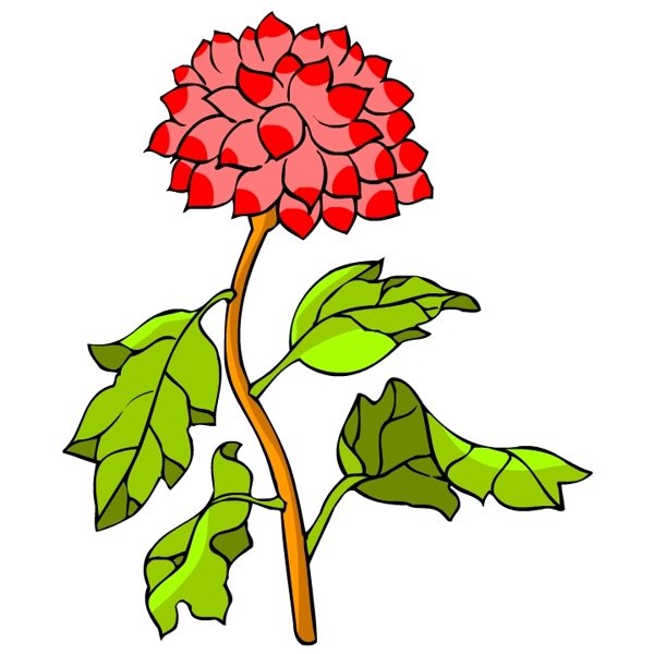 花卉古典插畫