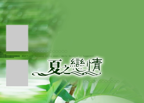 夏之戀情