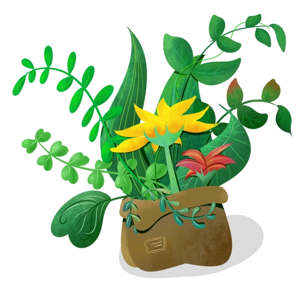 盆栽綠植植物菊花
