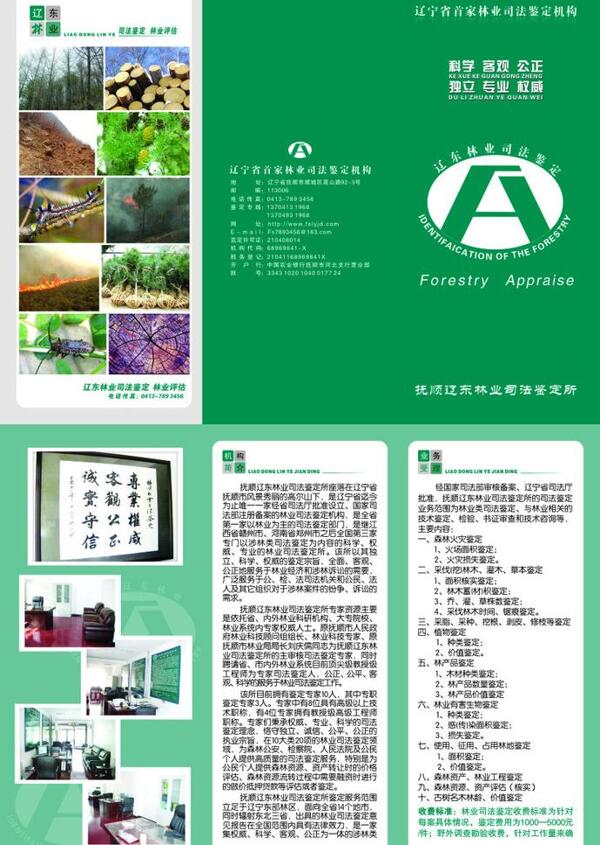 林業(yè)局三折頁圖片