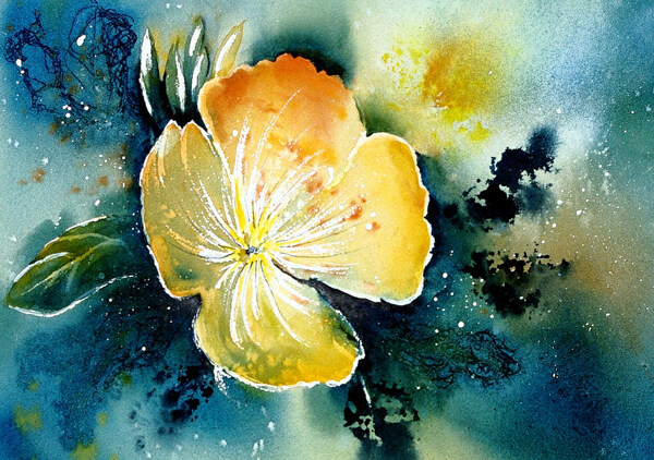 位圖植物寫意花卉花朵免費素材