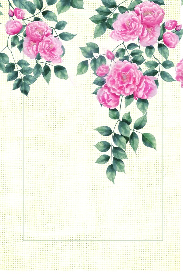 牡丹花卉背景图片