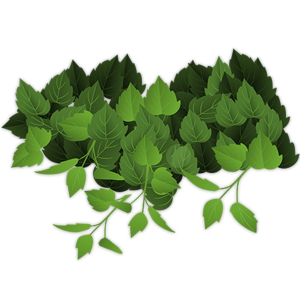 綠色植物