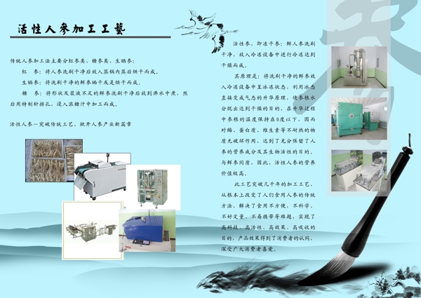 畫(huà)冊(cè)內(nèi)頁(yè)圖片