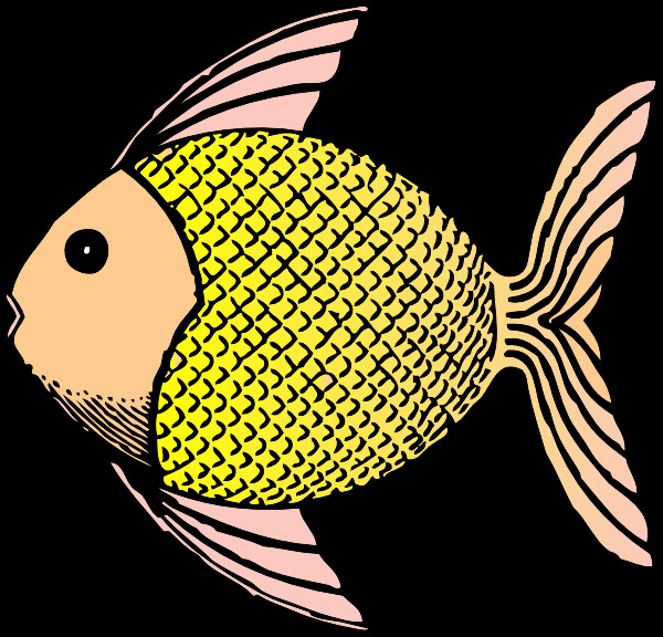 熱帶魚(yú)的剪輯藝術(shù)