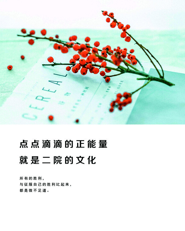正能量