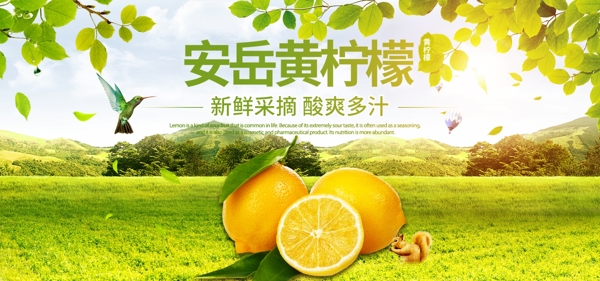 电商淘宝安岳黄柠檬banner