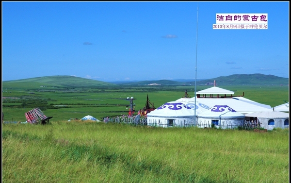 草原圖片