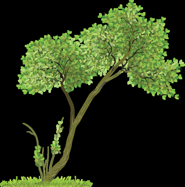 一颗绿色大树免抠png透明图层素材