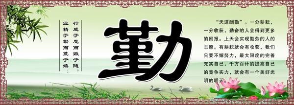 學(xué)校展板