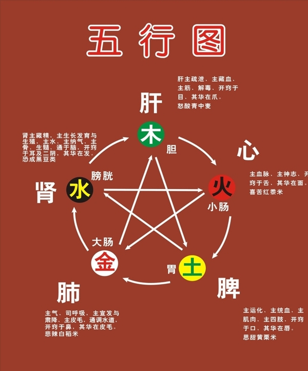 醫(yī)療五行圖圖片