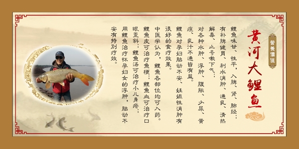 黃河大鯉魚(yú)圖片