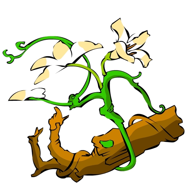 花卉古典插畫