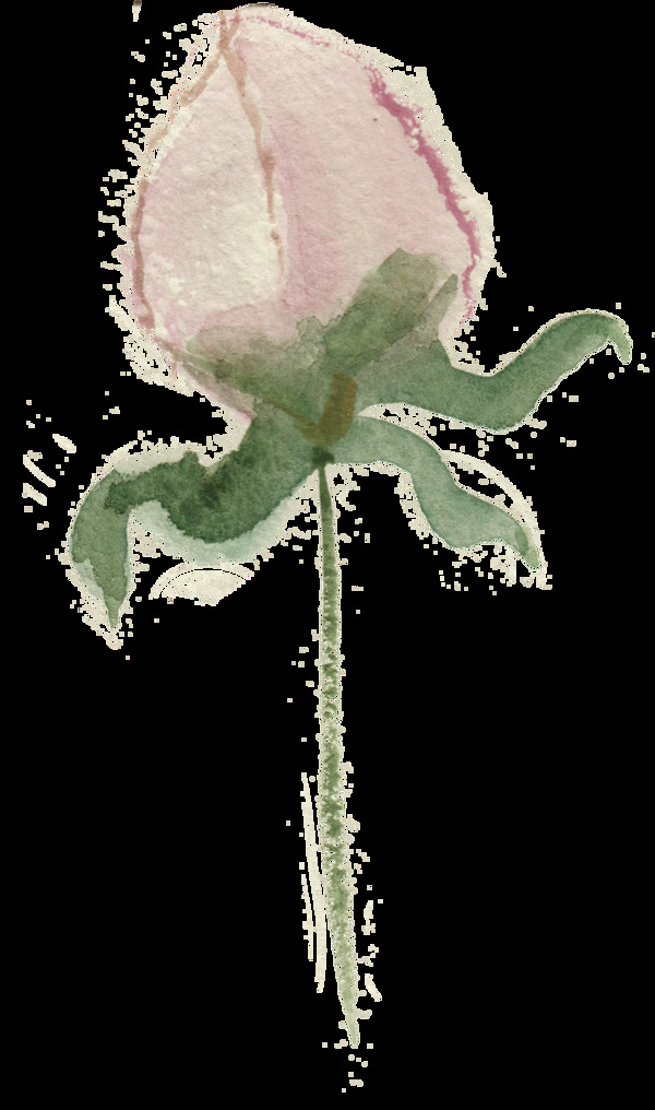 混沌花束透明裝飾素材