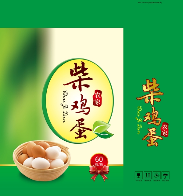 雞蛋箱