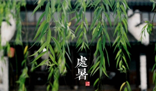 處暑季節(jié)圖片