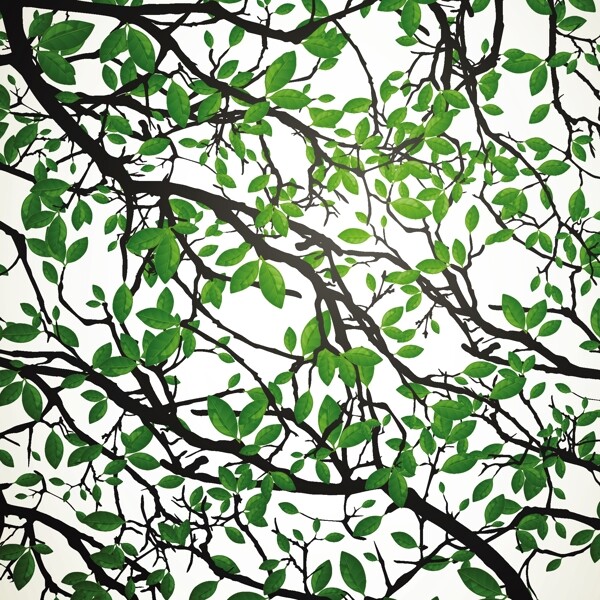 綠色植物背景矢量素材