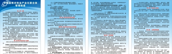企業(yè)制度