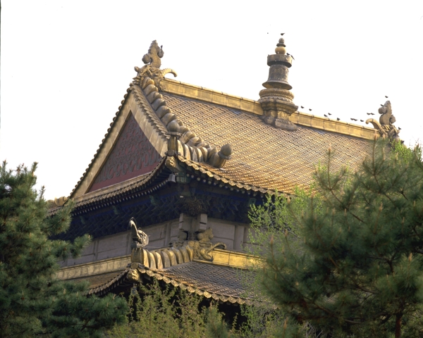 中国建筑风景图片北京雍和宫风景