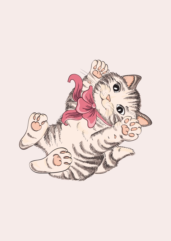 貓