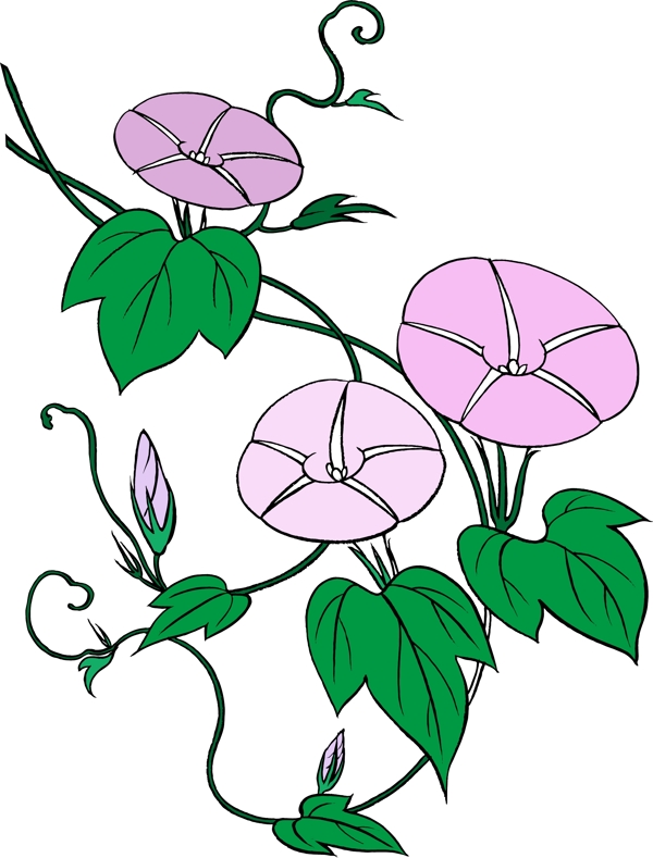 牽?；ú瀹?>
                </a>
                <a href=