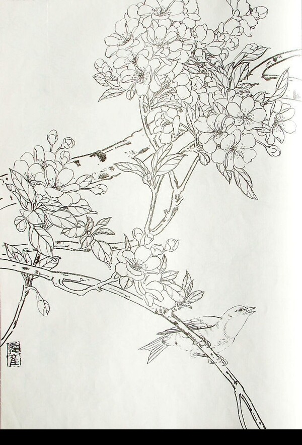 白描圖片