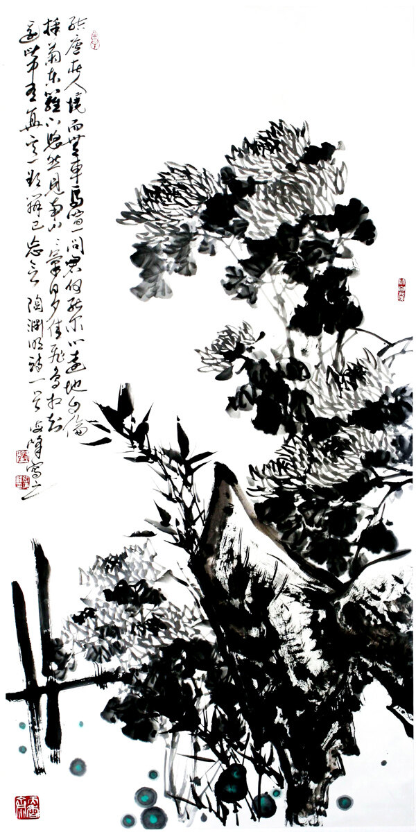 秋菊圖圖片