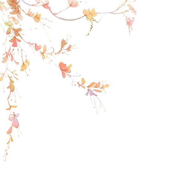 唯美花朵