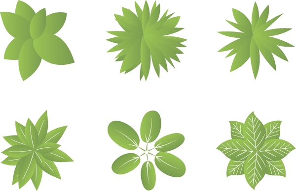 植物俯視圖