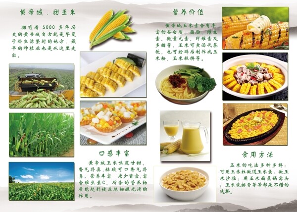 舌尖上的味道