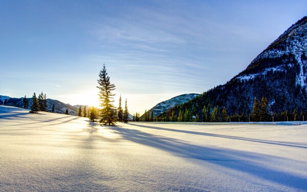 大气阳光早晨雪地背景