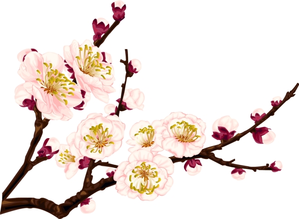印花矢量圖免費(fèi)素材