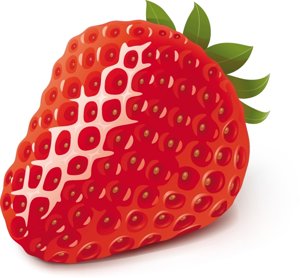 高清草莓矢量图素材