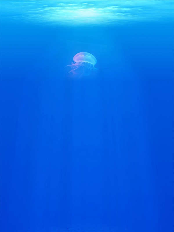 深海水母夏日蓝色渐变清凉商务背景