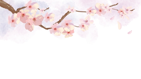 櫻花
