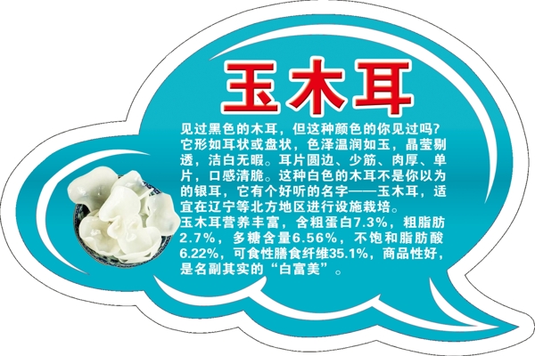 玉木耳
