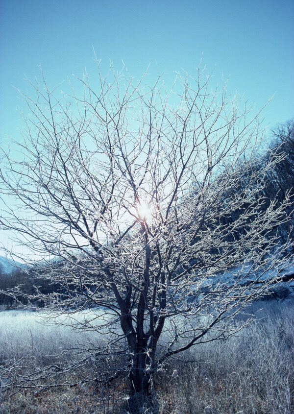 冬天风景摄影图片