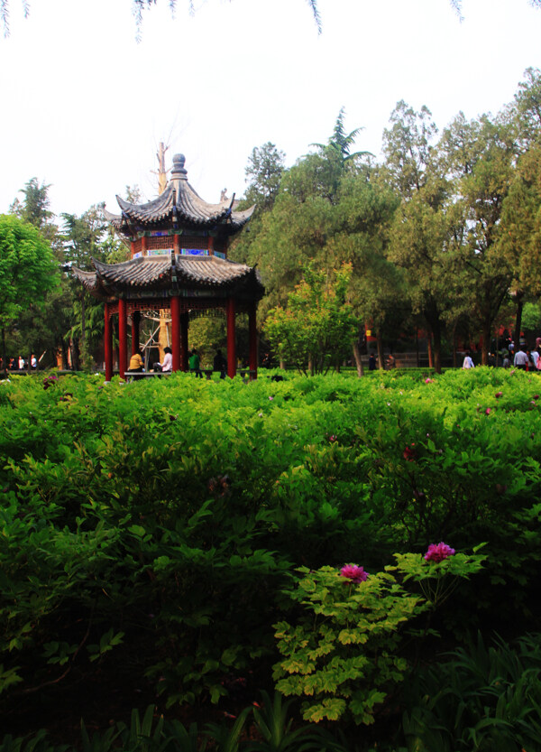 中式庭院