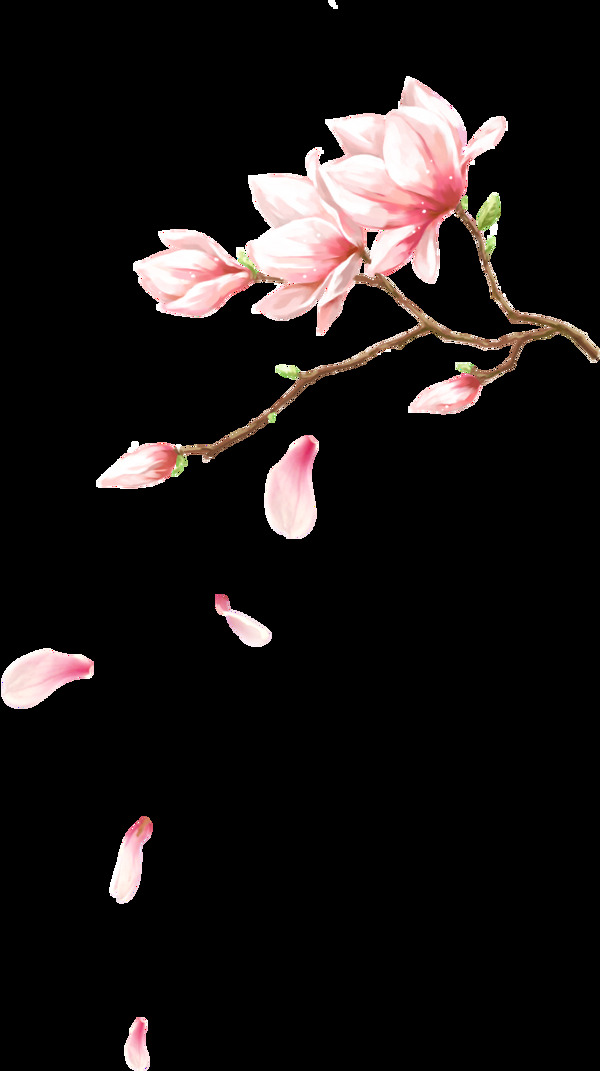 桃花花瓣png元素素材